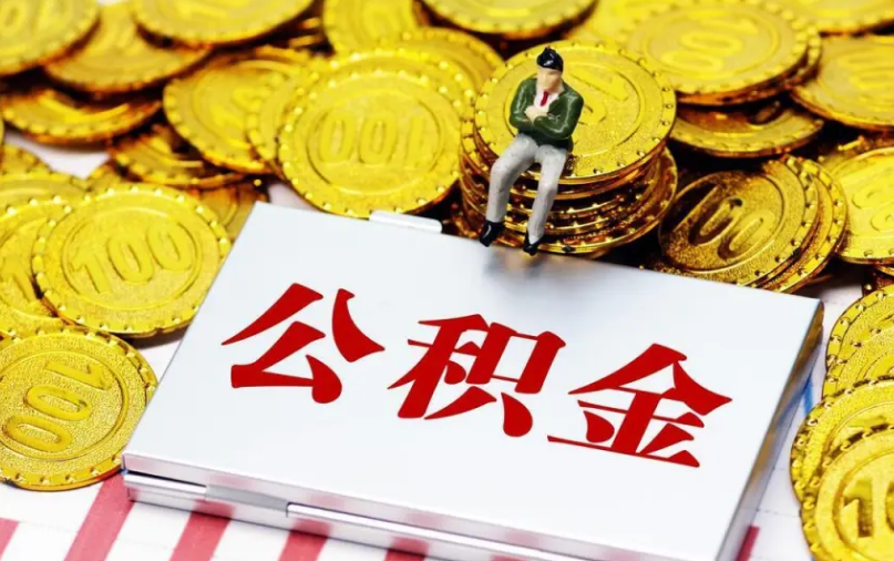 郑州视窗网